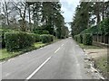 Looking up Gough Road