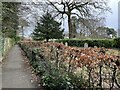 Hope Cemetery