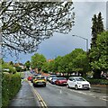 SP3065 : Queue, Rugby Road, Leamington by Robin Stott