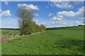 Farmland, Great Brickhill