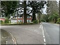 Avenue Road / Rosedene Gardens