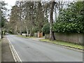 Looking down Avenue Road