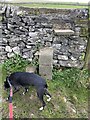 Stone Stile, Longnor