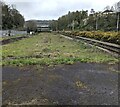 Area of grass between railway lines, New Inn, Torfaen