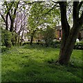 SP3582 : Old Church Road in Spring, Bell Green by A J Paxton
