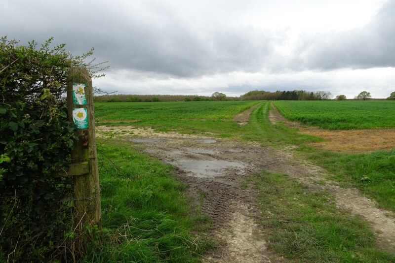 Footpath signs near Steeton Hall Farm © DS Pugh :: Geograph Britain and ...