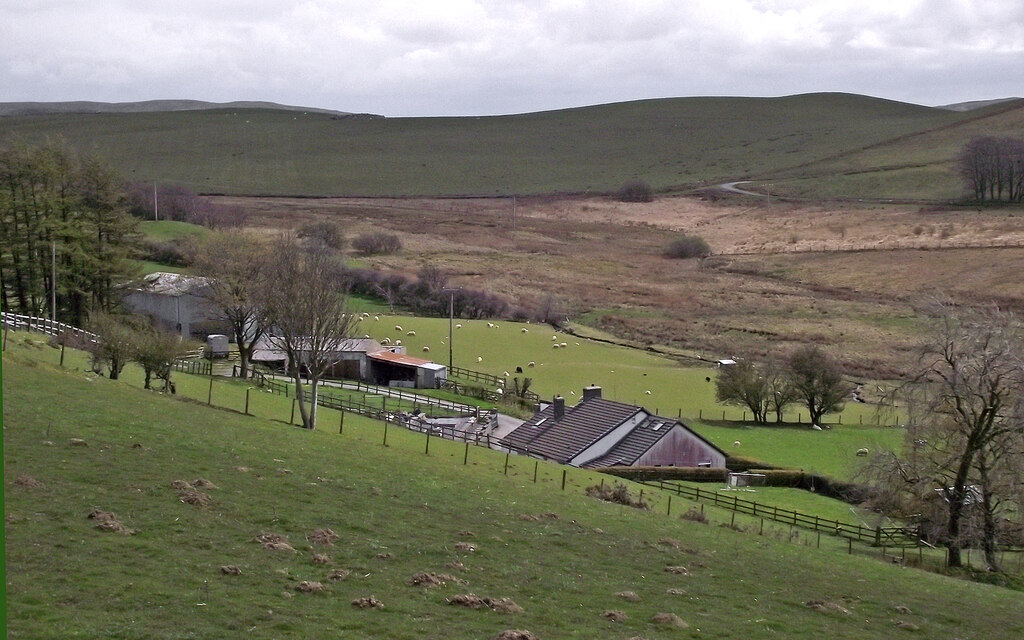 Hill pasture east of Ffair Rhos in... © Roger D Kidd :: Geograph ...