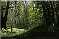 East Knoyle: Entrance to woodland