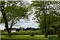 Battlesbridge, Chelmsford Road: A small patch of greenery