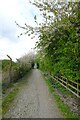 Path north of Lowther Lake