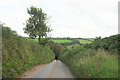 SX7955 : Lane to Middle Washbourne by Derek Harper