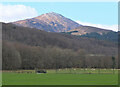 Shinty pitch and Ben Tee, Invergarry