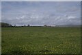 A field in Rutland