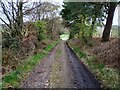 Road leading out of Muiravonside