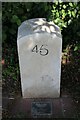 Modern Milestone, Chesterfield Canal