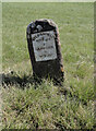 Old Milestone by the B4211, Corse Lawn