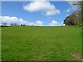 Hillside grazing off the A5