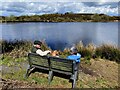 H4984 : Penny and her owners taking in the view at Oak Lough by Kenneth  Allen