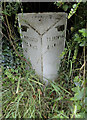 Old Milepost in Suckley Green, Suckley parish