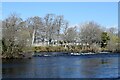 Weirs, River Ness