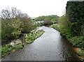 River Derwent view at Swalwell