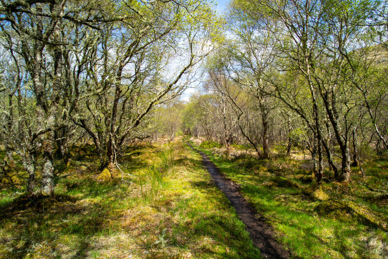 Path to Loch Sgalpaidh © Julian Paren :: Geograph Britain and Ireland