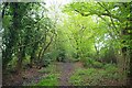 Crockers Lane Near Whitegates Farm