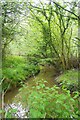 Unnamed Stream by Bridleway 523