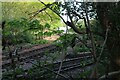 Northamptonshire Ironstone Railway, Hunsbury Hill Country Park (3)