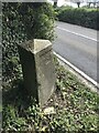 Old Milestone by the A393 in Comford