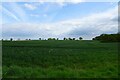 SE4260 : Farmland beside Moor Lane by DS Pugh