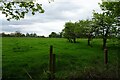 Kirby Hall Park