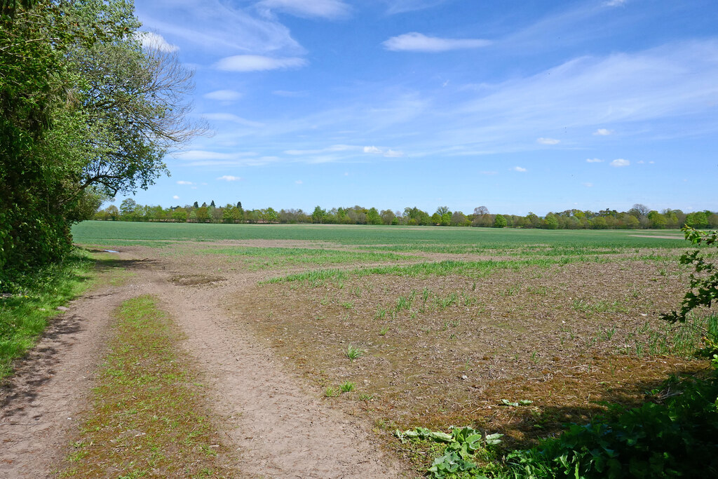 Crop field south-west of Codsall in... © Roger D Kidd :: Geograph ...