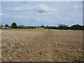 Footpath to Somerby