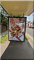 KFC Hot Wing Bucket advert