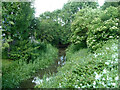 Grand Union Canal, Wendover Arm