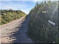 The lane to Hodgeston Hill