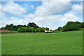 Cereal crop field north-west of Orton in Staffordshire