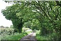 Towards Turnip Lodge Cottages