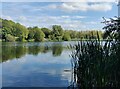 Holmer Lake at Brookside, Telford