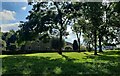 Houses near Holmer Lake at Brookside