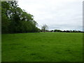 Grassland at Twyford