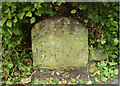 Old Milestone by the B5445, Marford, Gresford parish