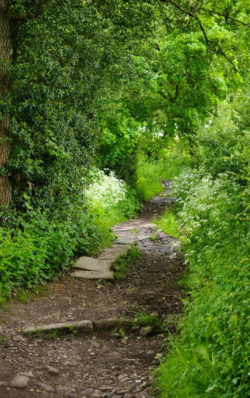 Springfield Lane, Tong © habiloid :: Geograph Britain and Ireland