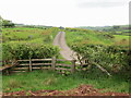 Llwybr yn cyrraedd heol fach / A path approaches a minor road