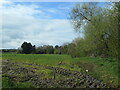 Field and trees at the southern edge of Comber