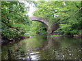 Afon Wysg / Usk River