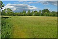 Field by the bridleway