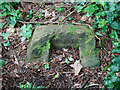 Cross base in Llwyn y Bedd forest, Ffynnongroyw