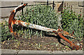 A rusty old anchor at Eyemouth